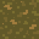 Temperate Forest